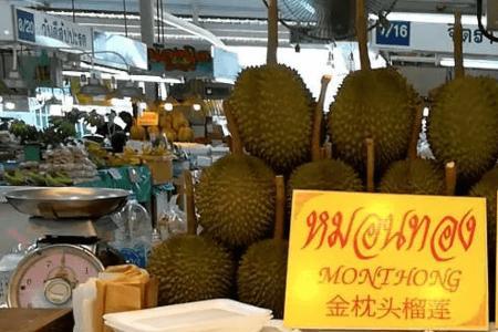 泰国榴莲上市时间