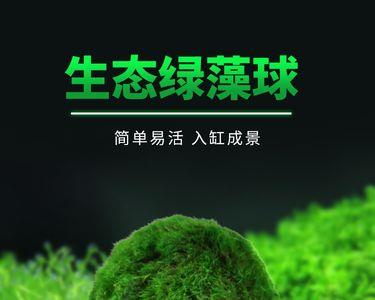 白醋可以去掉鱼缸里的绿藻吗