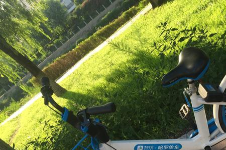 阜新市共享单车有几种