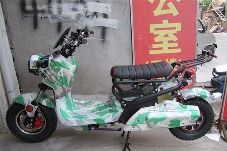 祖玛的品种