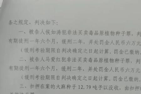 开庭后让回家等判决书是缓刑吗
