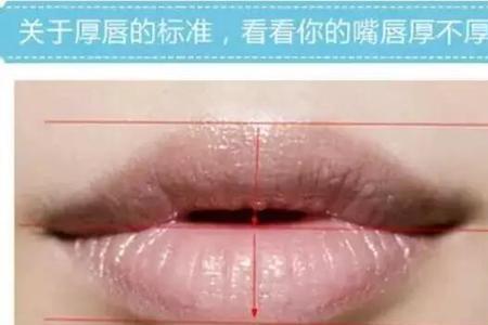 女生喜欢嘴唇薄的还是厚的