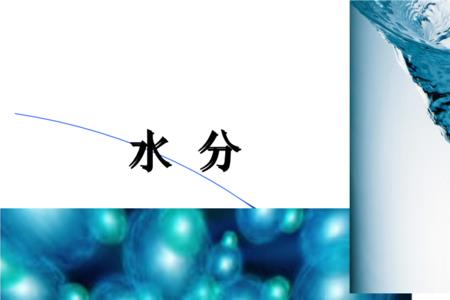 为什么它叫水分子而不是水离子