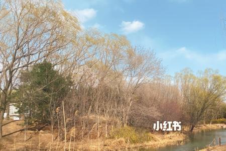 2022奥森北园开放时间
