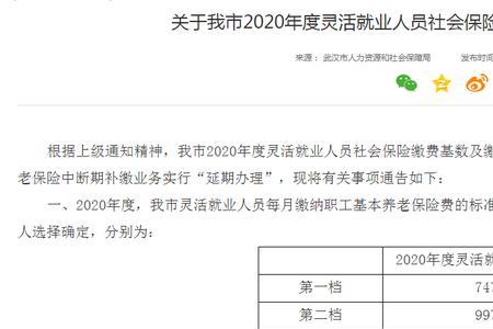 公职人员可以交两份社保吗