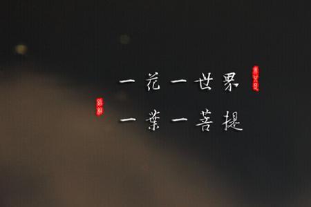 往事不可谏来者犹可追什么意思