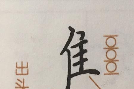 双人旁宝盖头的字