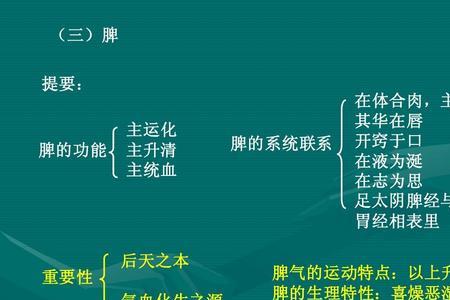 脾什么肉什么成语