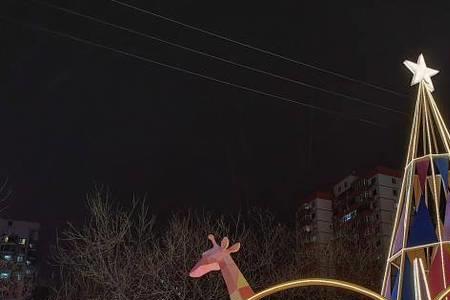 荣耀x40怎么拍星空