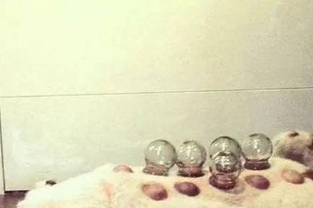 床下可以放拔火罐吗