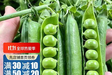 苏南露地豌豆几月份种植