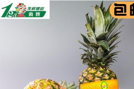 黄金菠萝画寓意