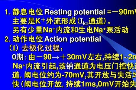 动作电位是钠离子内流吗