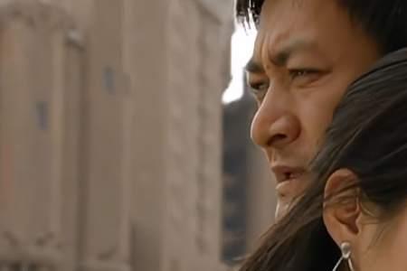 真情无限之生母养母女主角是谁