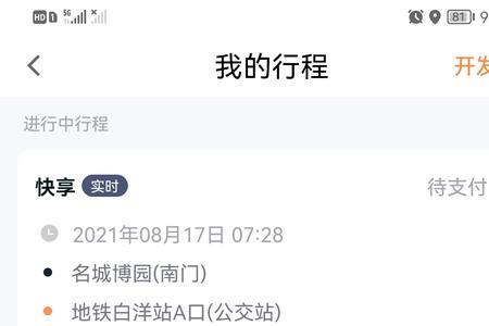 t3出行有犯罪记录能干吗