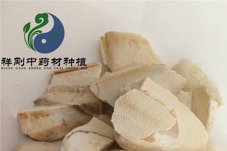 鱼骨的别名是什么