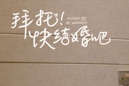 拜托快结婚吧女主角