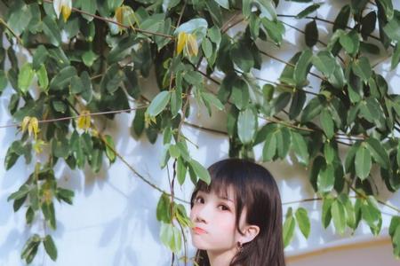 形容女生文静诗句