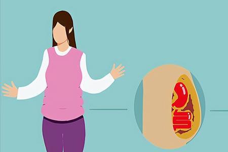 谦虚使人发胖是什么意思