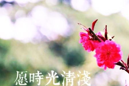 惟愿岁月静好父母安康孩子快乐