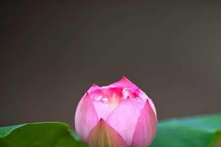 修心的好处和坏处