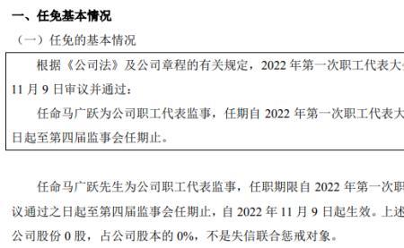 职工监事和职工董事哪个好