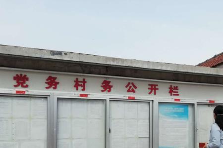 怎么查自己属于哪个村委会