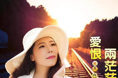 人海两茫茫歌曲原唱