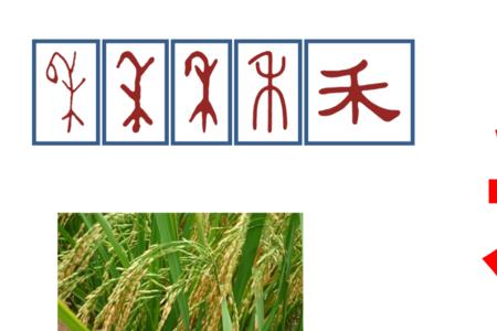 带宀字盖加禾旁的字