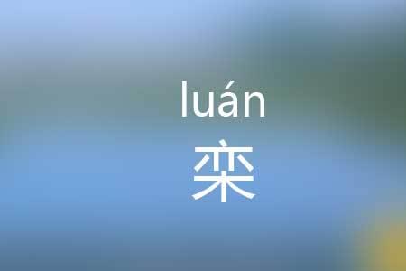 栾这个字读什么