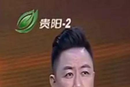 鼎峰集团是什么电视剧