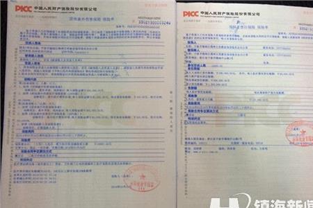 成都电子保单可以审车吗
