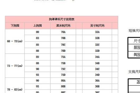 胸围九十五是多大