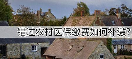 单位医保补缴上月费怎么补