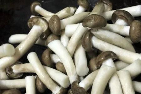 菇类为何总有一股味道