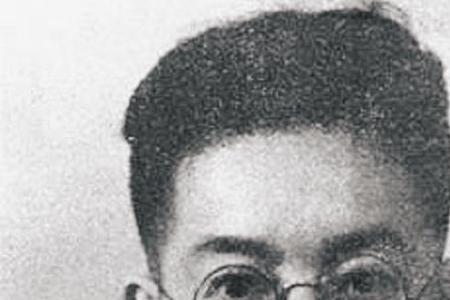 青盲中王万成是什么身份