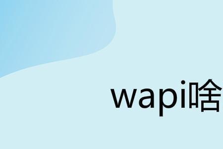 wapi启用还是关闭