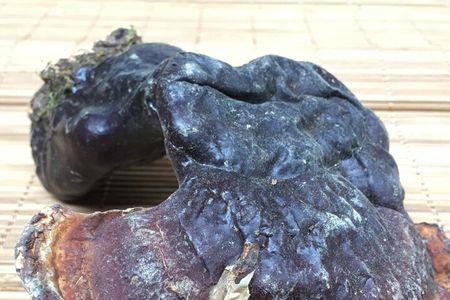 野生灵芝如何处理后才能无毒