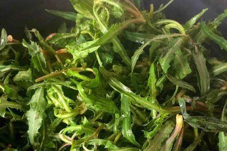 苦菜梗做法