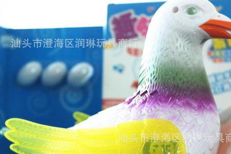 鸽子喜欢玩什么玩具