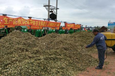 青储玉米只用秸秆吗