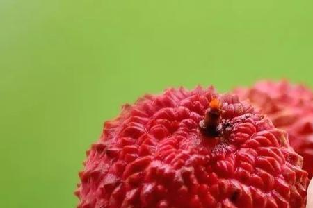 天气热什么水果产量高