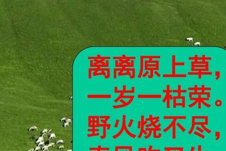 枯荣明灭意思