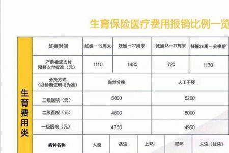 在编教师的生育保险怎么报销