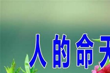 人一辈子大概能活多少天