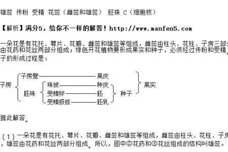 桃花各部分种子名称