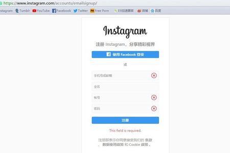 ins能登陆了吗
