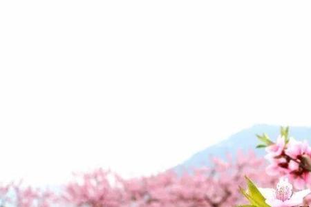 桃花是苦的还是甜的