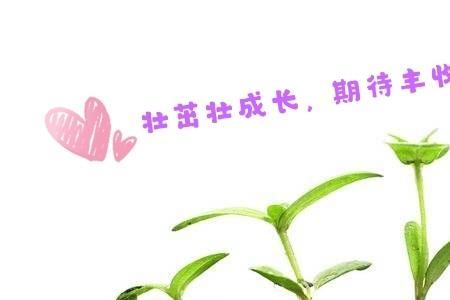 精心培养什么意思