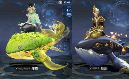 庄周针对马可出什么